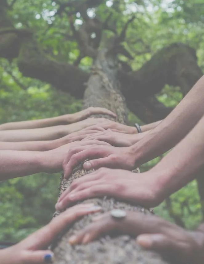 exc-649351bc164c480d42005084