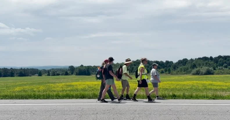 exc-68af1d3eced995524deb3b7a